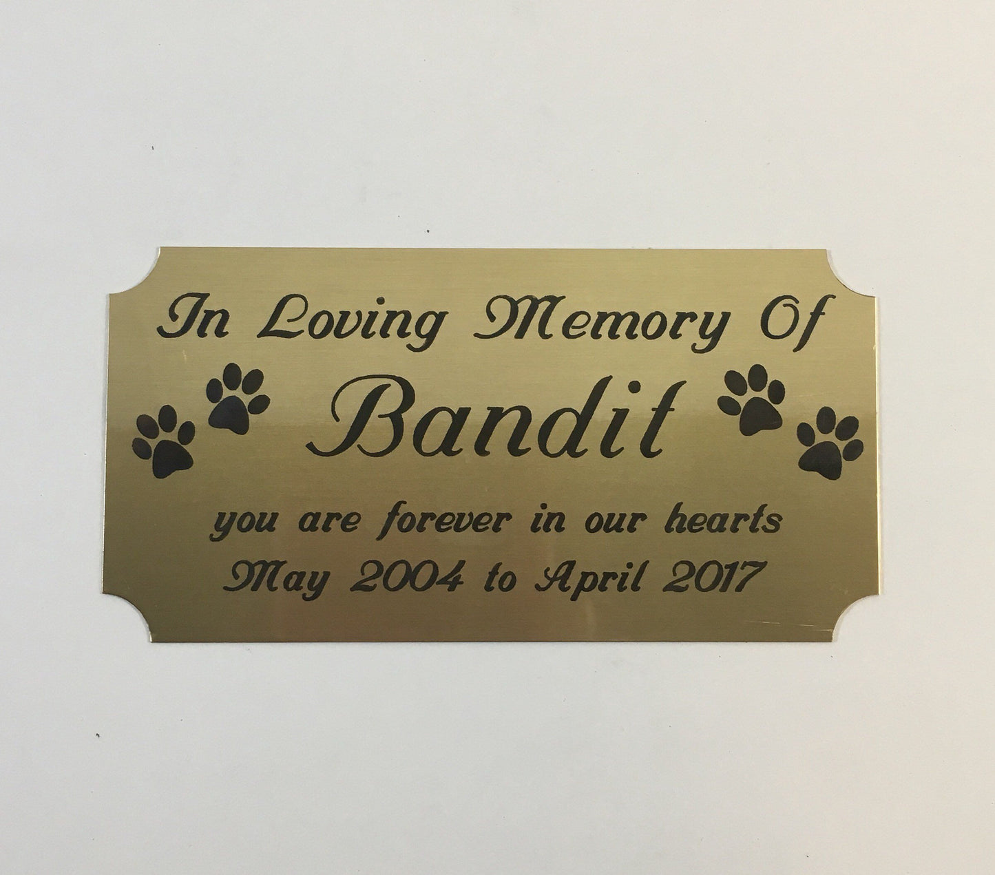 Pet Memorial - Solid Brass Plate with Engraved Paw Prints